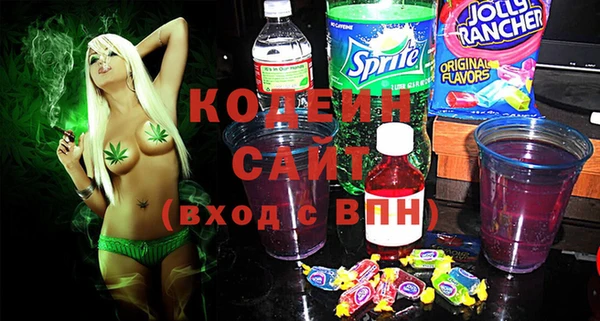 дмт Елизово