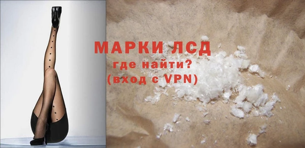 амф Ельня