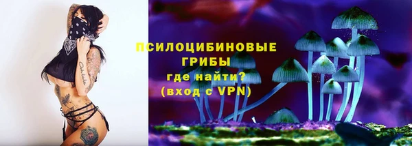 мескалин Елабуга