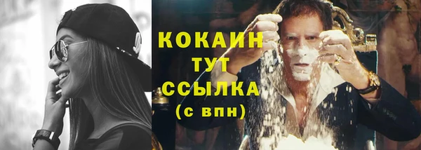 амф Ельня