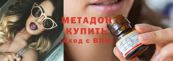амф Ельня