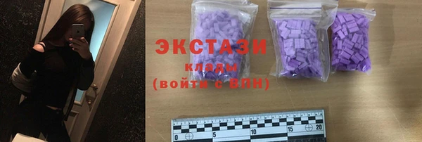 амф Ельня