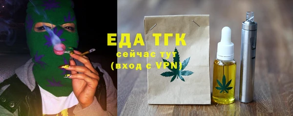 амф Ельня