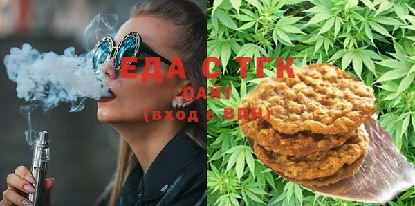 амф Ельня