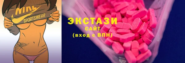 амф Ельня