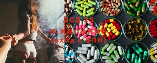 амф Ельня