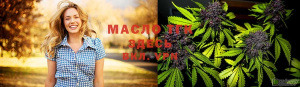 амф Ельня