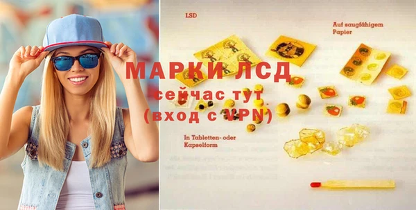 амф Ельня