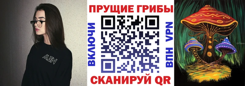 Галлюциногенные грибы мицелий  Купить  Юрга 